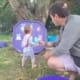 Outdoor mark making