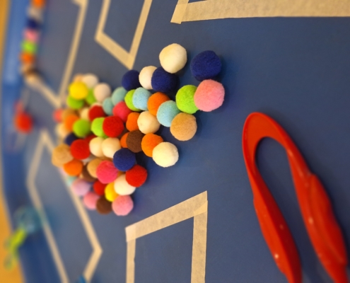 Pom Poms