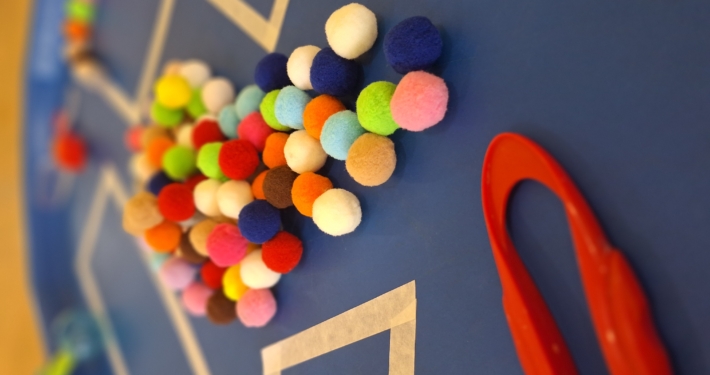 Pom Poms